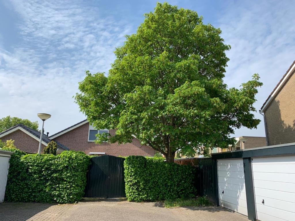 Oostvoornsch Gastenverblijf Oostvoorne Exterior foto
